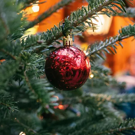 Ξενοδοχείο - The Niu, Loco North By Ihg 3*